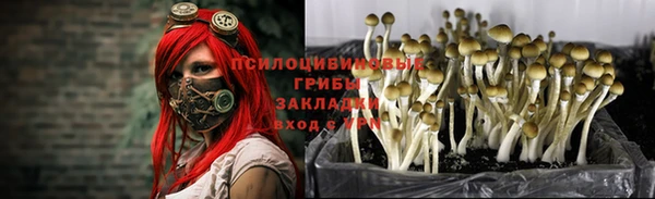 Альфа ПВП Карталы